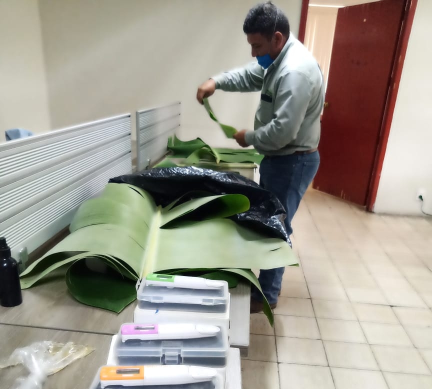 Persona trabajando con materiales agronomos