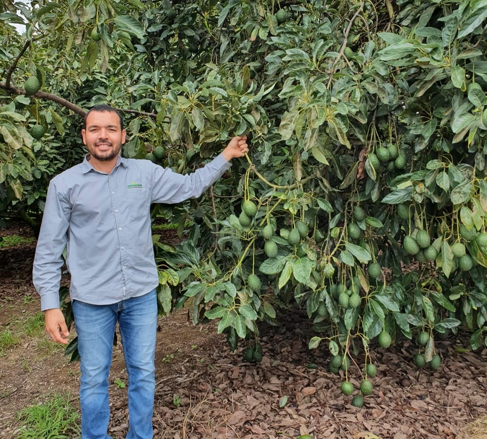 Hombre frente a una plantación